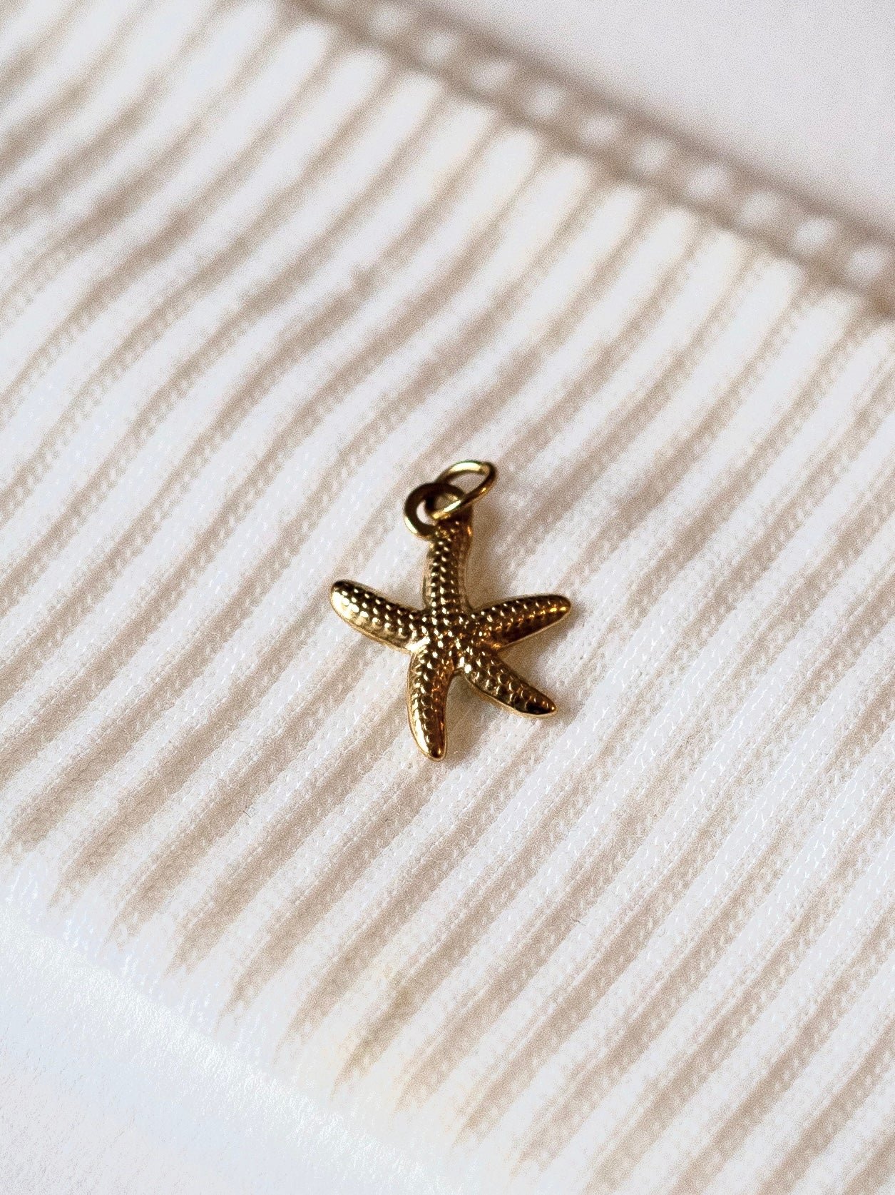 Charms étoile de mer 2